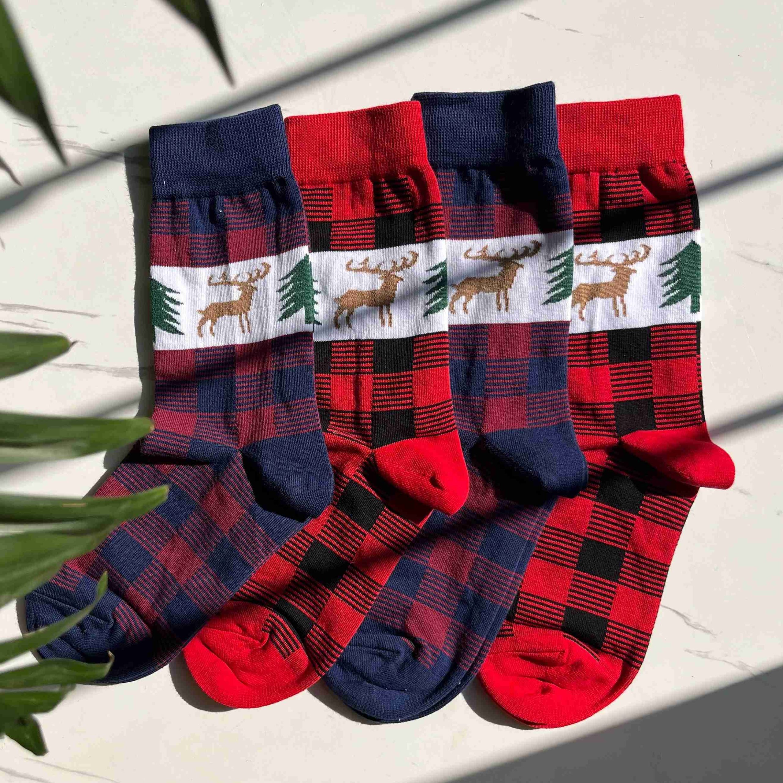 FullSizeRender 7_11zon (3)