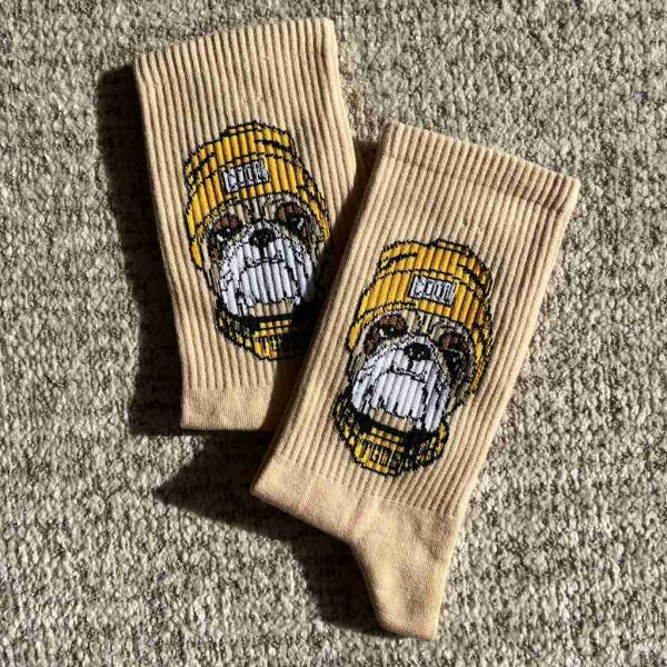 جوراب سگ کلاه دار